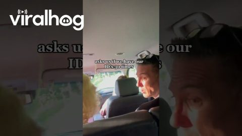 Dad Handles Entire Airport Journey || ViralHog