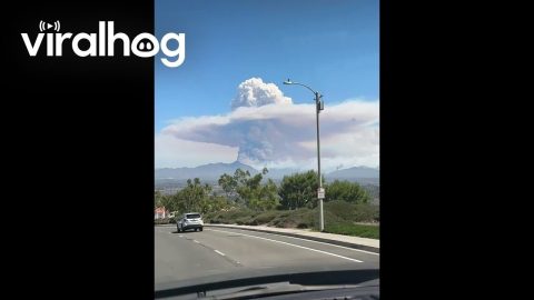 Wildfire Smoke Looms Over the Horizon in California || ViralHog