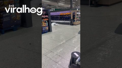 Rainwater Floods Into Grocery Store Through Drainpipe || ViralHog