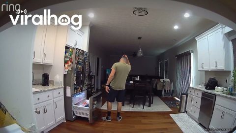 Wife Finds Hotdogs and Husband Loses Bet || ViralHog