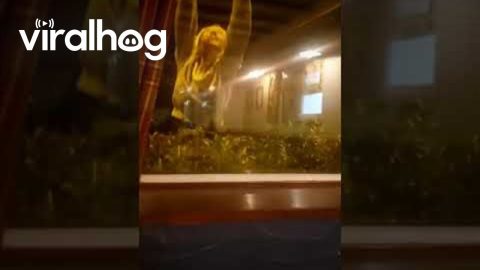 Woman Tries to Close Bar Window By Herself || ViralHog