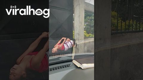 Independent Daughter Uses Whole Body To Open Gate || ViralHog