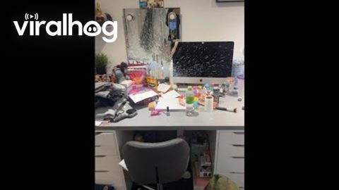 Bottle of Bleach Exploded Over Bedroom || ViralHog