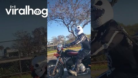 Spooky Skeleton Motorcyclist || ViralHog