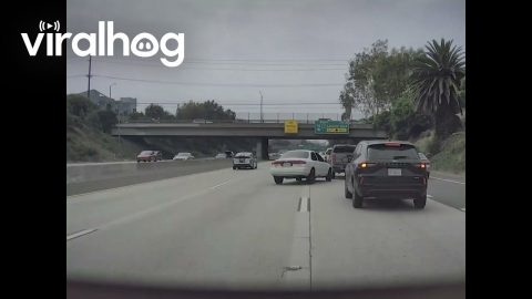 Sudden Swerve And Stop Causes Chain Reaction Wreck || ViralHog