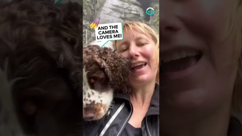 Spaniel Loves A Selfie || ViralHog