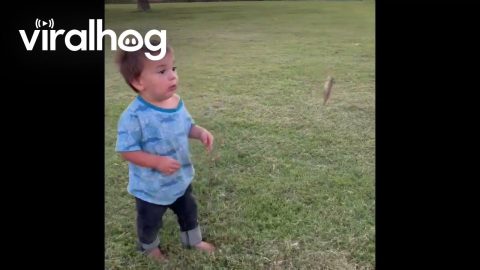 Boy's First Time Up Close With a Fish || ViralHog