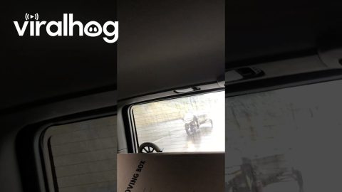 Guy Pulls Boat With Motorcycle || ViralHog
