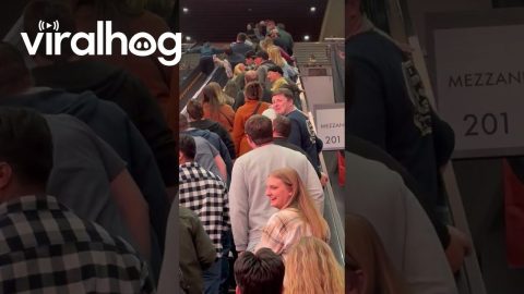 Girl Conquers Reverse Escalator Climb || ViralHog