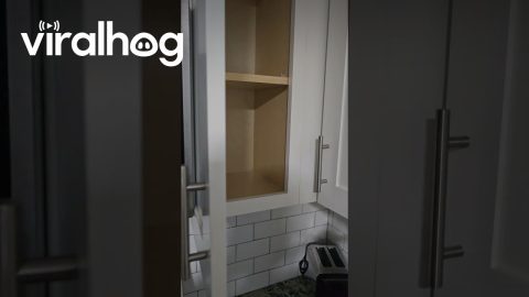 Corner Cabinets Can't Open || ViralHog