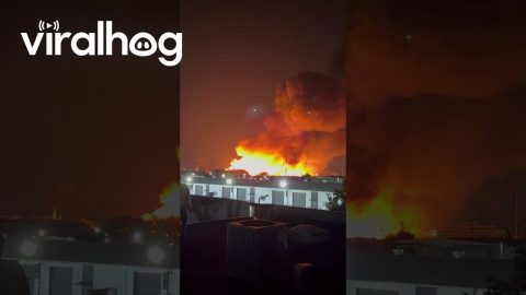 Pallet Fire Near Dallas Love Field || ViralHog