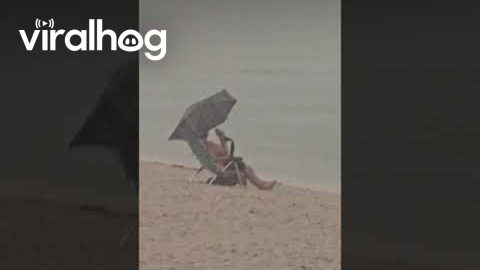 Man Doesn't Let Rain Ruin His Beach Day || ViralHog