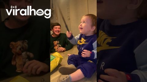 Young Wizard Gets First Wand || ViralHog