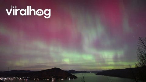 Northern Lights Over Idaho || ViralHog