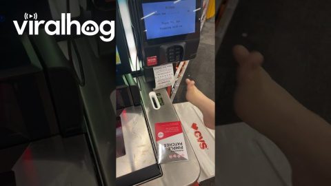 Receipt Grabbed With Exposed Foot || ViralHog