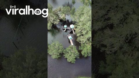 Drone Footage of Hurricane Milton Aftermath || ViralHog