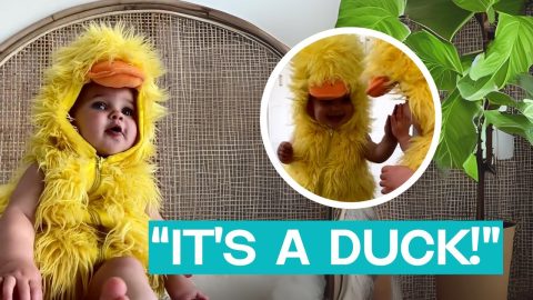 Adorable Tot Sports a Duck Costume || ViralHog