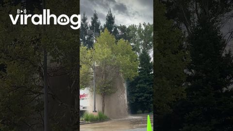 Semi-Truck Driver Has a Bad Day || ViralHog