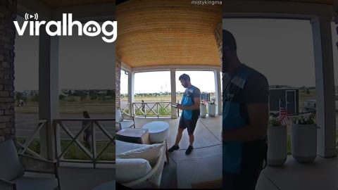 Amazon Delivery Driver hides UPS Package For Customer || ViralHog