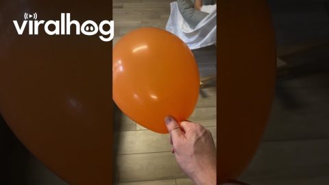 Dad Shows His Daughter a Hair-Raising Trick || ViralHog