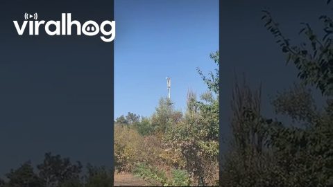 Combat Drone Blows Up Mobile Communications Tower || ViralHog