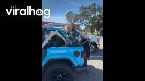 Skeleton Jeep || ViralHog