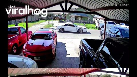 Car Gets Sideswiped While Turning Into Driveway || ViralHog