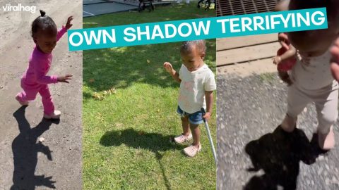 Own Shadow Spooks Girl || ViralHog