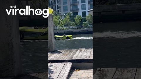 Lamborghini Party Boat || ViralHog
