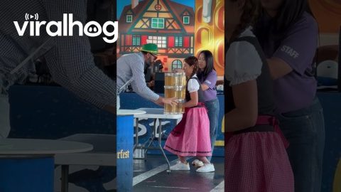 Oktoberfest Beer Stein Carrying Contest in South Korea || ViralHog