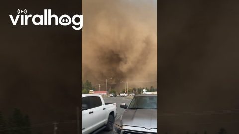 Dust Storm in Moscow, Idaho || ViralHog