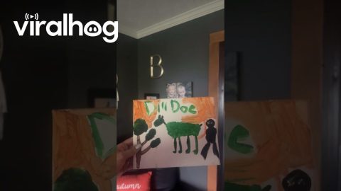 Mom Wonders Where to Hang Son's Awkward Artwork || ViralHog