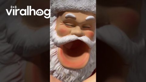 Santa Bottle Holder is Kinda Sus || ViralHog