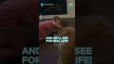 Girl Convinced Dog Really Does Talk || ViralHog