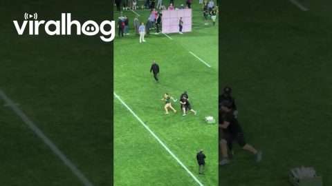 Pitch Invaders Disrupt Prize Ceremony and Get Tackled || ViralHog