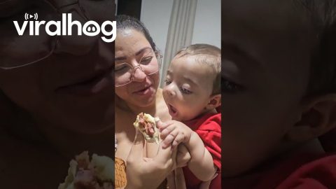 Baby Wants a Bite || ViralHog
