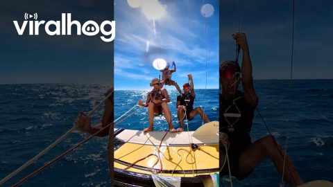 Catamaran Human Pyramid || ViralHog