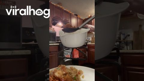 Plastic Bowl Gets Stuck to Burner Grate || ViralHog