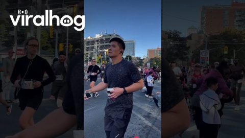 Attempting to Cross the Street During a Marathon || ViralHog