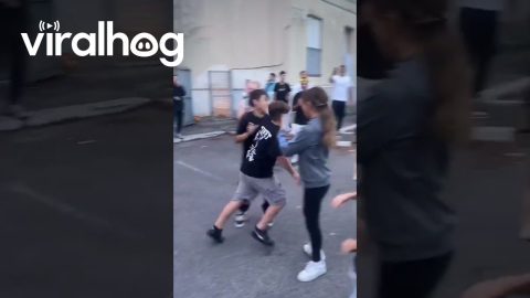 Passing Car Becomes Part of Gender Reveal || ViralHog