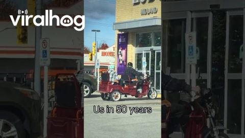 Grandma and Grandpa Roll Around In 3-Wheeled Vehicle || ViralHog