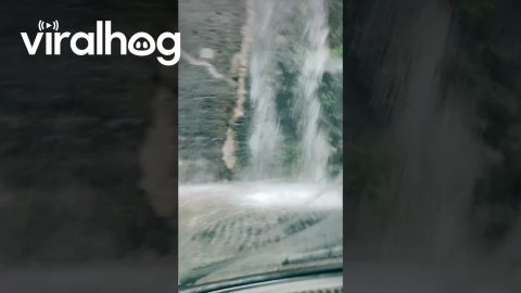 Sorrento Flooding Looks Like Waterfall || ViralHog