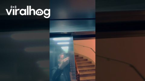 Spooky Elevator Makes Horror Movie Sounds || ViralHog