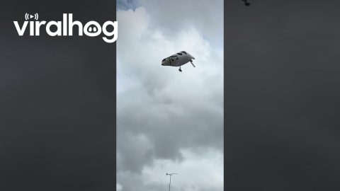 Cow Balloon Floats Backwards Over Street || ViralHog