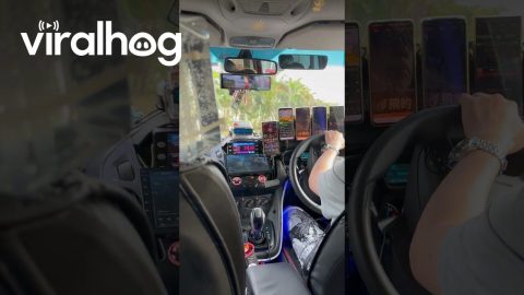 Multitasking Taxi Driver || ViralHog