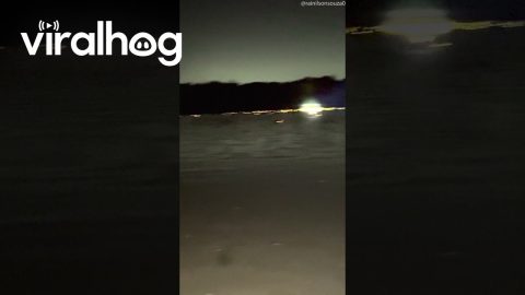 Reptile Eyes Light Up River || ViralHog