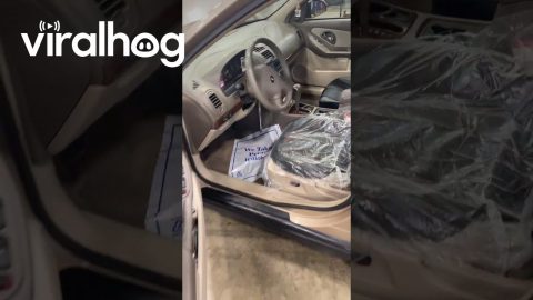 Steering Wheel Spins Out of Control || ViralHog