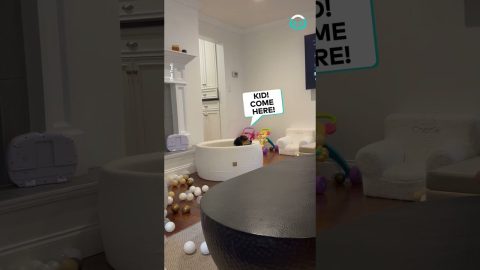 The Ball Pit Belongs To The Dog || ViralHog