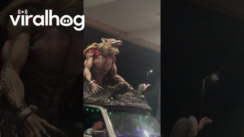 Werewolf Car Is Ready For Halloween || ViralHog