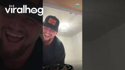 Dog Celebrates Dinner Time || ViralHog